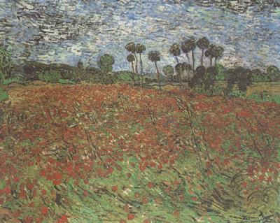 Vincent Van Gogh Field with Poppies (nn04) oil painting image